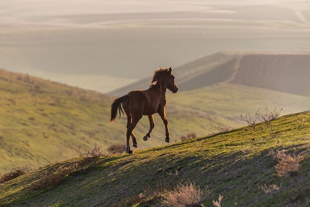 Αζερμπαϊτζάν