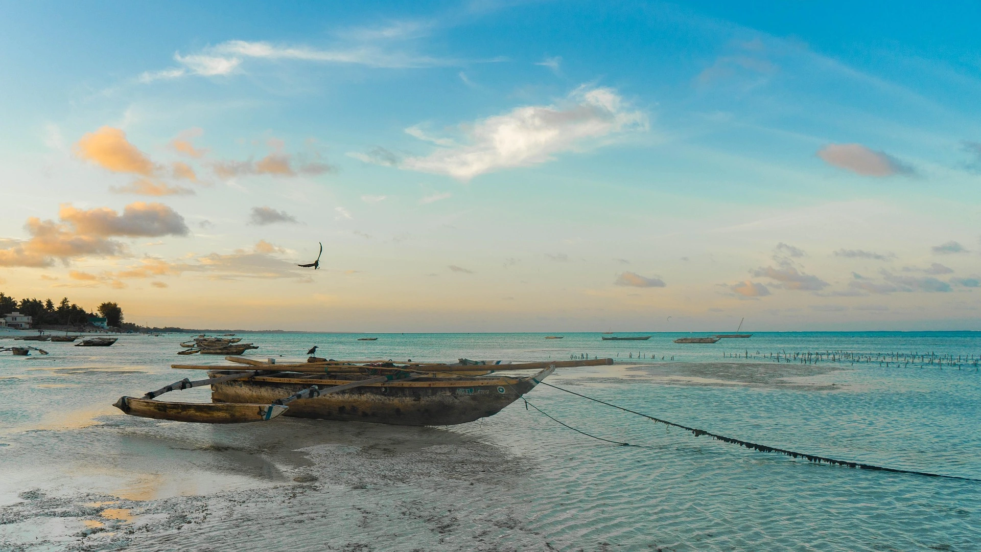 Τανζανία & Ζανζιβάρη